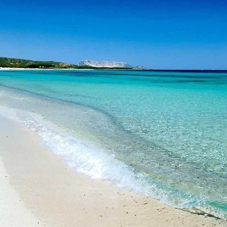 Villa Indipendente Al Mare Budoni Танаунелла Экстерьер фото